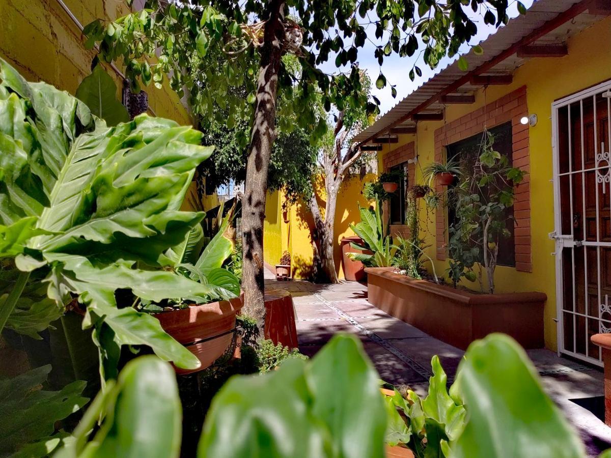 Апартаменти Casa Caracoles Ла-Пас Екстер'єр фото